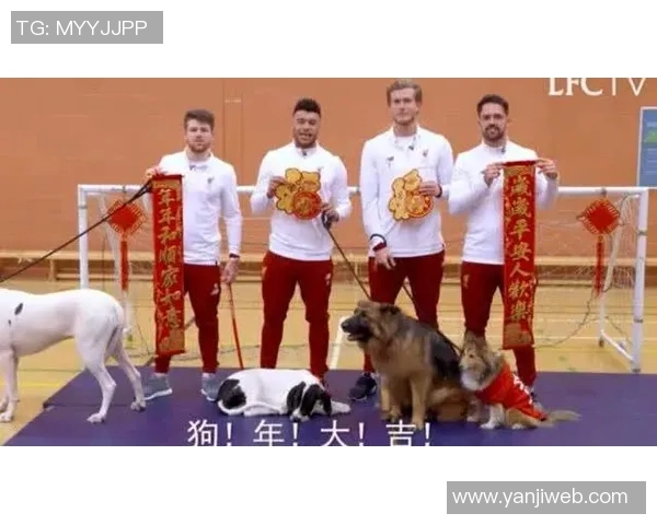 足球明星拜兔年祝福视频引发热议球迷纷纷点赞分享